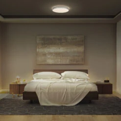 Ledvance Orbis Dublin LED-Deckenlampe Silber 49cm -LEDVANCE Store 10021588 3