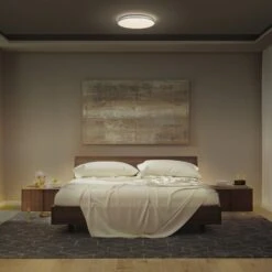 Ledvance Orbis Dublin LED-Deckenlampe Silber 39cm -LEDVANCE Store 10021589 3