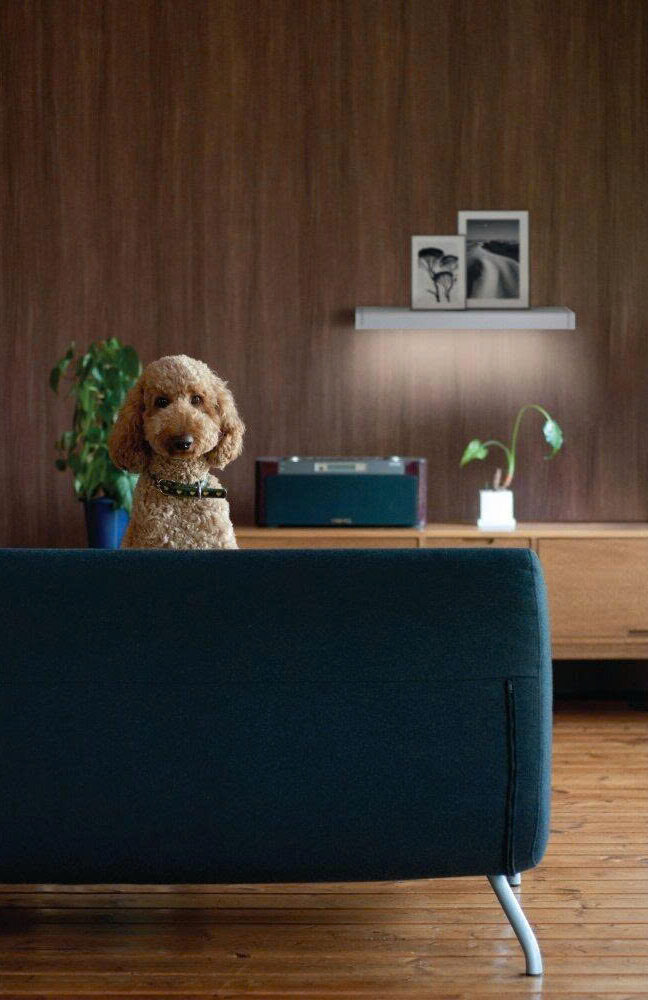 LEDVANCE Store -LEDVANCE Store z6777333339976 c66bf0b3905db5dbbf68d5b378134afc e1751795620620